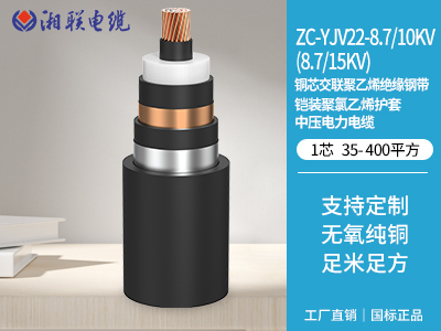 如何設計電纜以適應高溫環境并保證其性能？